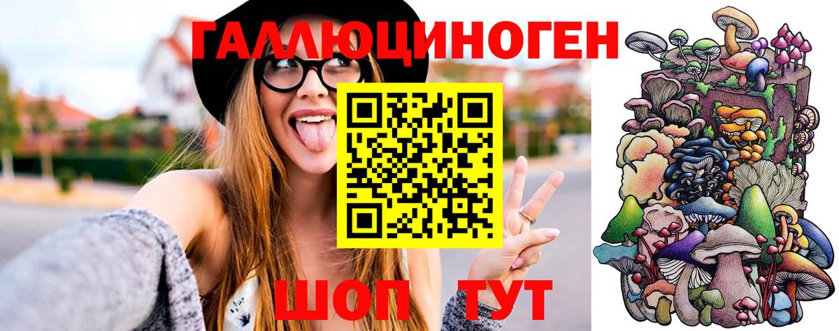Псилоцибиновые грибы Magic Shrooms  Вход с VPN  Анапа  Псилоцибиновые грибы Cubensis 
